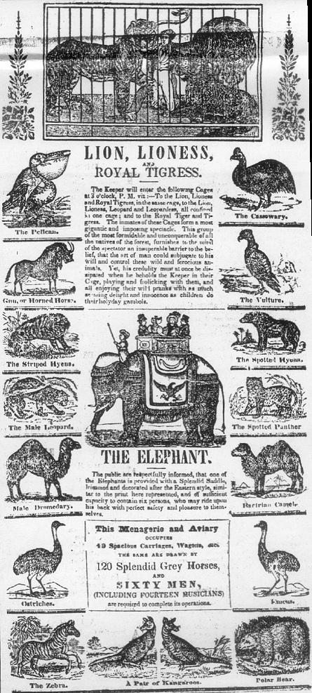 1835 Advertisement