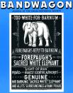 Forepaugh's White Elephant, 1884