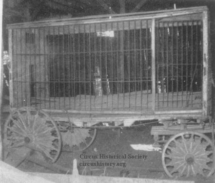 Cage Wagon