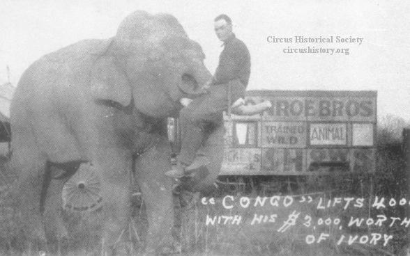 Black Diamond 1925