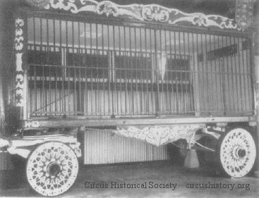Rhino cage