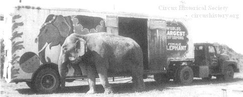 Topsy and elephant truck