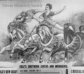 Cole poster