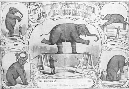 Lalla Rookh poster