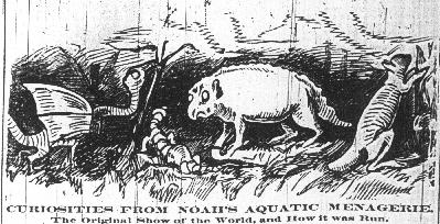 Curiosities, Noah's