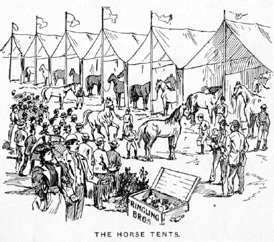 Horse Tents