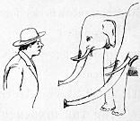Elephants