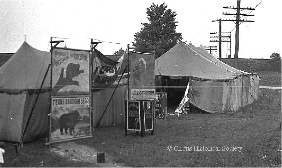Bogart's Novelty Circus
