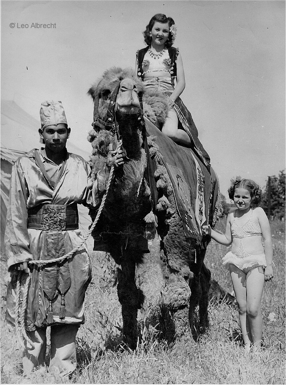 Chief, Honor Tombs, Sheila Grady
