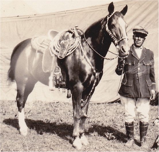 Tom Mix's horse Tony