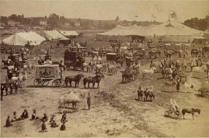 Cooper and Bailey 1876
