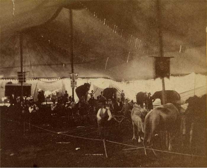 Cooper and Bailey 1876