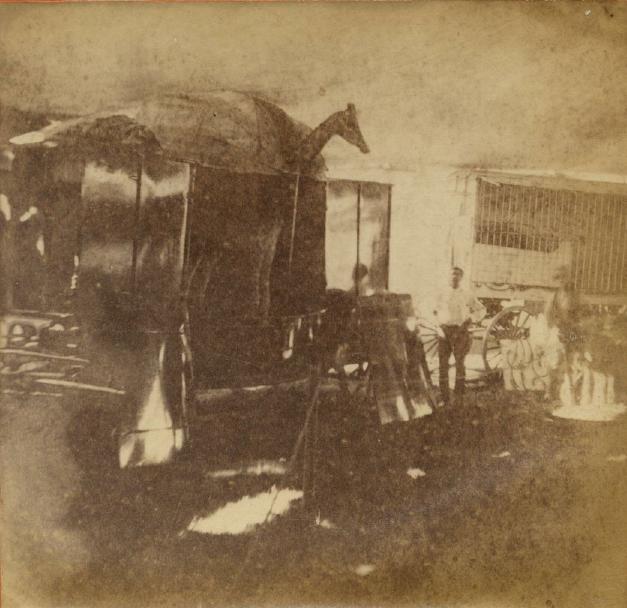 Cooper and Bailey 1876