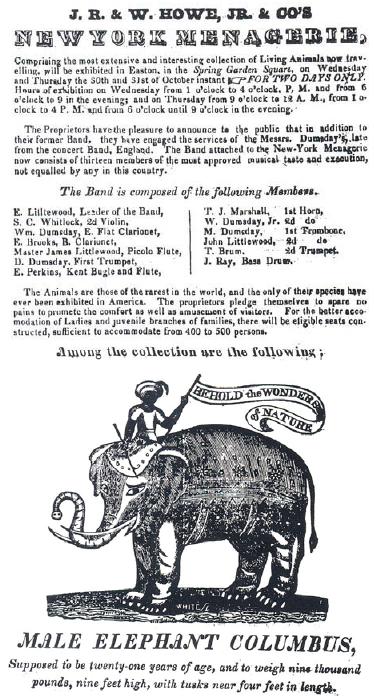 Advertisement